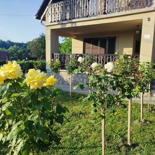 Simon Ház*** Orfű (3)