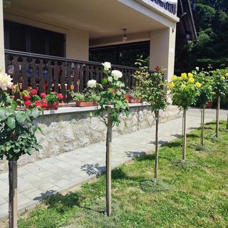 Simon Ház*** Orfű (4)