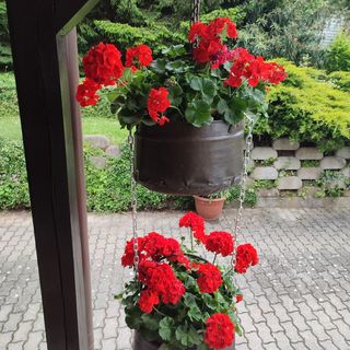 Simon Ház*** Orfű (5)