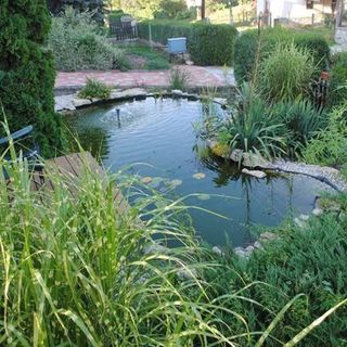 Romantika Apartman Sárvár (5)