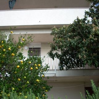 Apartman Maja Omiš (3)