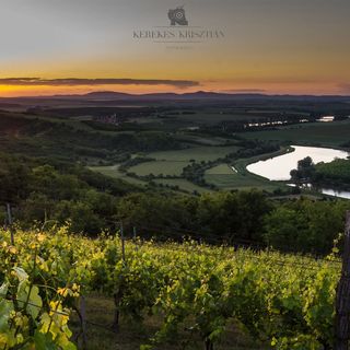 Reitz Vendégház Villány (5)