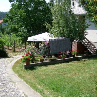 Szőlő Vendégház Balatongyörök (2)