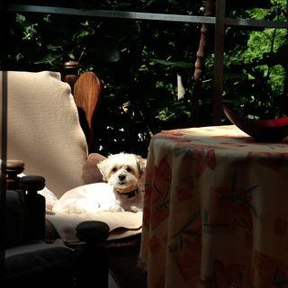 Szatmár Apartman Sárvár (4)