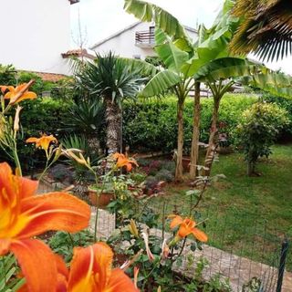 Balogh Apartmanhaz Pješčana Uvala (5)