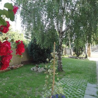 Levandium Apartman Miskolc (2)