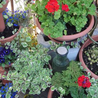 Levandium Apartman Miskolc (5)