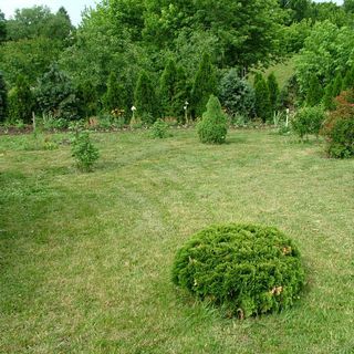 Rózsakert Vendégház Bodrogolaszi (2)