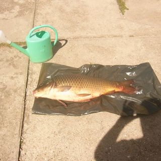 Zsigmondház Poroszló (5)