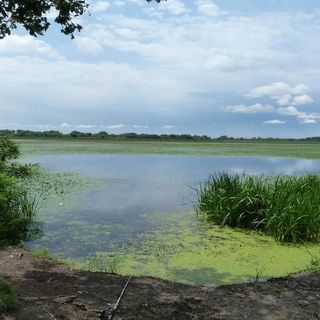 Zsigmondház Poroszló (3)