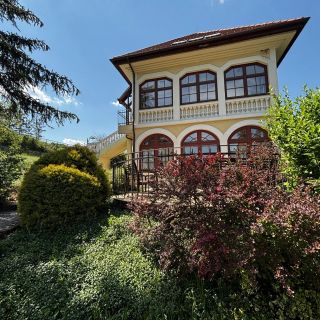 Park Villa Csopak (2)