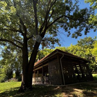 Park Villa Csopak (5)