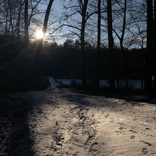 Gyümölcsliget Vendégház Csehimindszent (5)