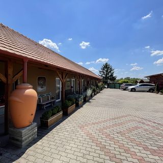 Vadvirág Panzió Tatabánya (4)