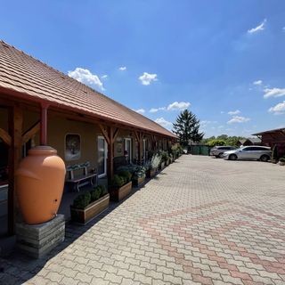 Vadvirág Panzió Tatabánya (4)