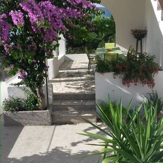 Apartman Ivica Arbanija (5)