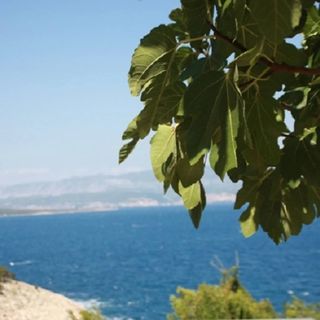 Apartmani Andreja Pinezići (2)