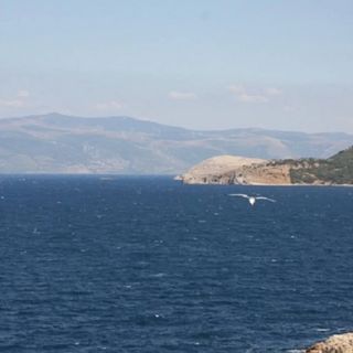 Apartmani Andreja Pinezići (5)