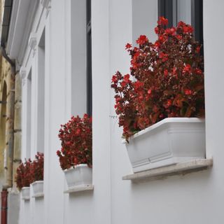 Centrál Vendégház Székesfehérvár (3)