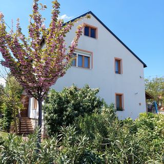 Simon Ház Csopak (4)