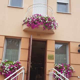 Kálmán Panzió Szeged (3)