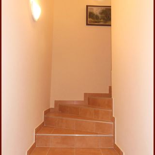 Vadvirágos Vendégház Lajosmizse (4)