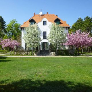 Ezüst Nyár Üdülő Balatonudvari (2)