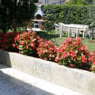 Apartmani Barbara Poreč (4)