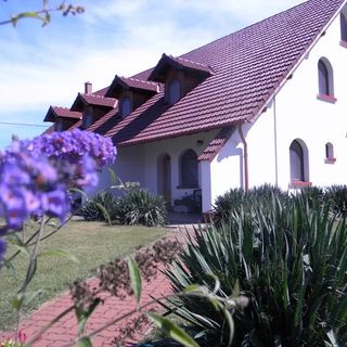 Mustang Ranch Üdülőháztelep Kiskunmajsa (2)