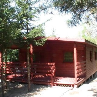 Domki Nad Jeziorami Wilczyn (3)