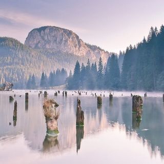 Pensiunea Laczkó Kuckó Gheorgheni (2)