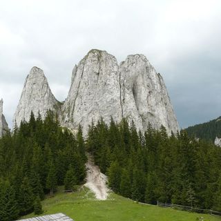 Pensiunea Laczkó Kuckó Gheorgheni (4)