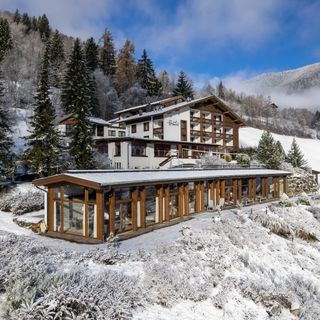 Hotel OTP Birkenhof Bad Kleinkirchheim (3)