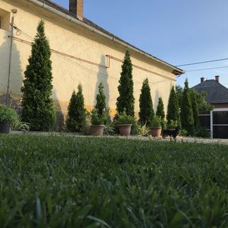 Borostyán Vendégház Verpelét (4)