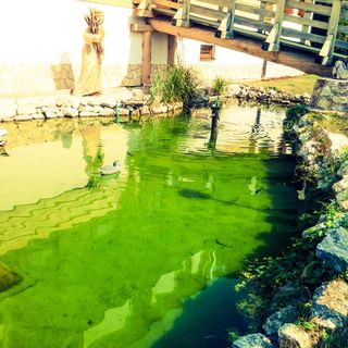 Penzión Mlynárka Rajecké Teplice (4)