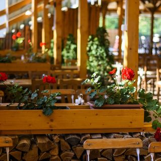 Viktor Bor - és Vendégház Balatonmáriafürdő (5)