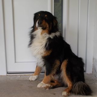 Turista-úti Vendégház Városlőd (3)