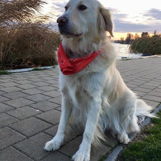 Balaton Vendégház Keszthely (5)