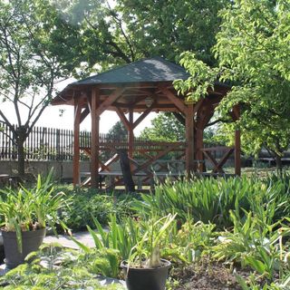 Homoky Család Pincészete és Vendégháza Tállya (4)