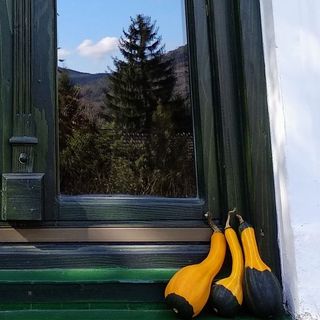 Tölgyes Vendégház Nagymaros (3)