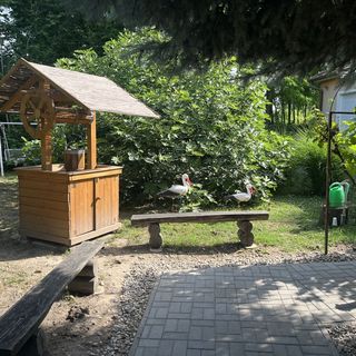 Tünde Vendégház Foktő (3)