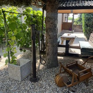 Tünde Vendégház Foktő (4)