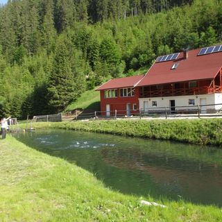 Cabana Gálkúti Sândominic (5)