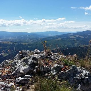 Cabana Gálkúti Sândominic (3)