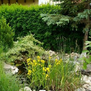 Berni Apartman Badacsonytomaj (4)