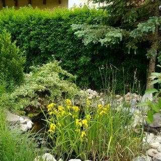 Berni Apartman Badacsonytomaj (4)