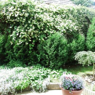 Mária Apartman Balatonboglár (4)