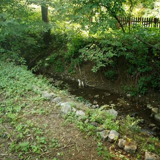 Harangvirág 36 Vendégház Kismaros (4)