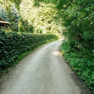 Harangvirág 36 Vendégház Kismaros (3)