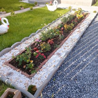 Casa de oaspeți Janka Sovata (4)